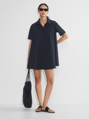 Aritzia Babaton Resolute Dress